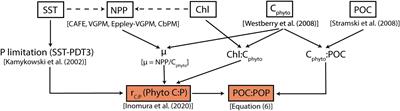 Toward Determining the Spatio-Temporal Variability of Upper-Ocean Ecosystem Stoichiometry From Satellite Remote Sensing